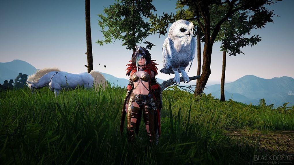 Black Desert [KR] ปล่อยวีดีโอแผนงานภายในปี 2017 อัพเดทอีกยาว!