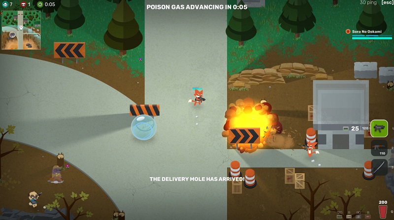 [Review] Super Animal Royale เหล่าก๊วนสัตว์โลกเปิดศึกสงครามชิงราชาแห่งพงไพร