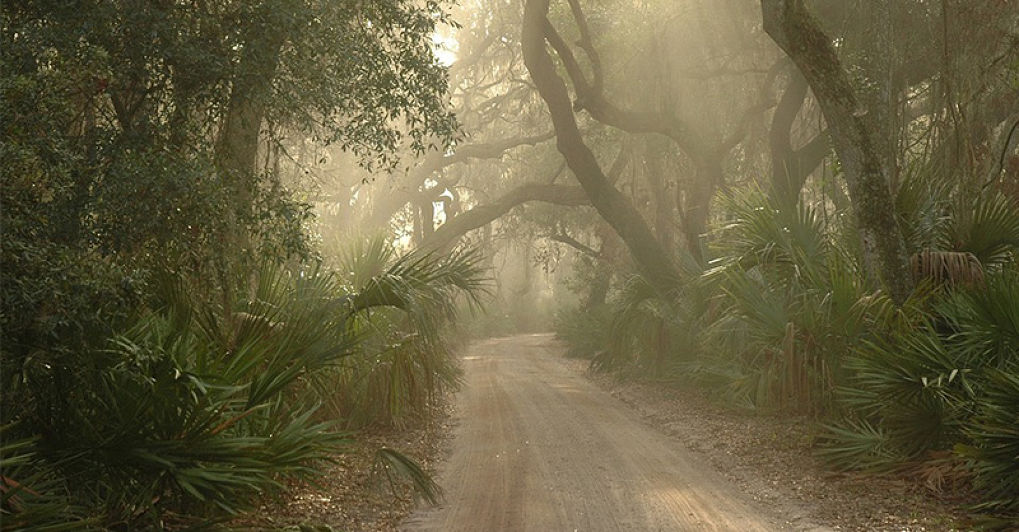 เกมซ้อนโลกจริง!!! อภิมหาเศรษฐีอยากจัดการแข่ง Battle Royale มาชิงความเป็นหนึ่งกัน